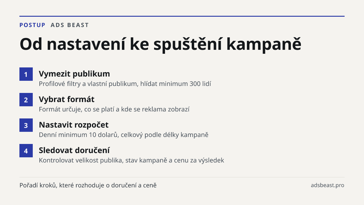 Od nastavení ke spuštění kampaně. Vymezit publikum: Profilové filtry a vlastní publikum, hlídat minimum 300 lidí; Vybrat formát: Formát určuje, co se platí a kde se reklama zobrazí; Nastavit rozpočet: Denní minimum 10 dolarů, celkový podle délky kampaně; Sledovat doručení: Kontrolovat velikost publi