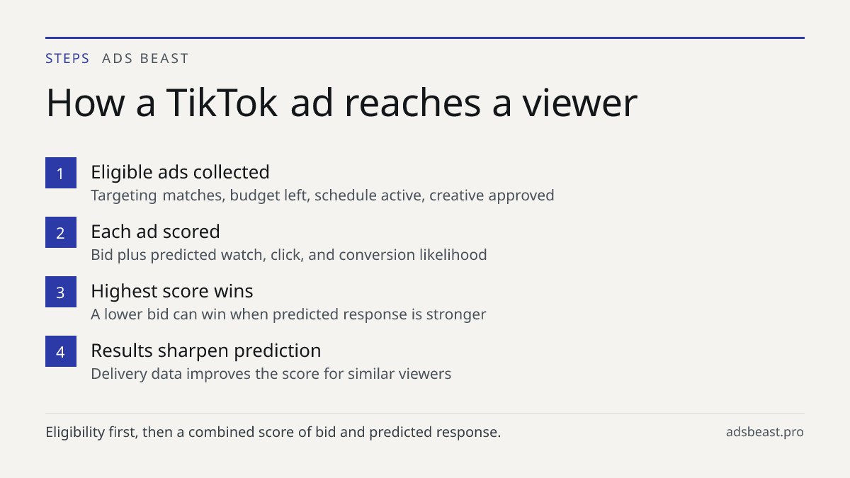 How a TikTok ad reaches a viewer. Eligible ads collected: Targeting matches, budget left, schedule active, creative approved; Each ad scored: Bid plus predicted watch, click, and conversion likelihood; Highest score wins: A lower bid can win when predicted response is stronger; Results sharpen predi