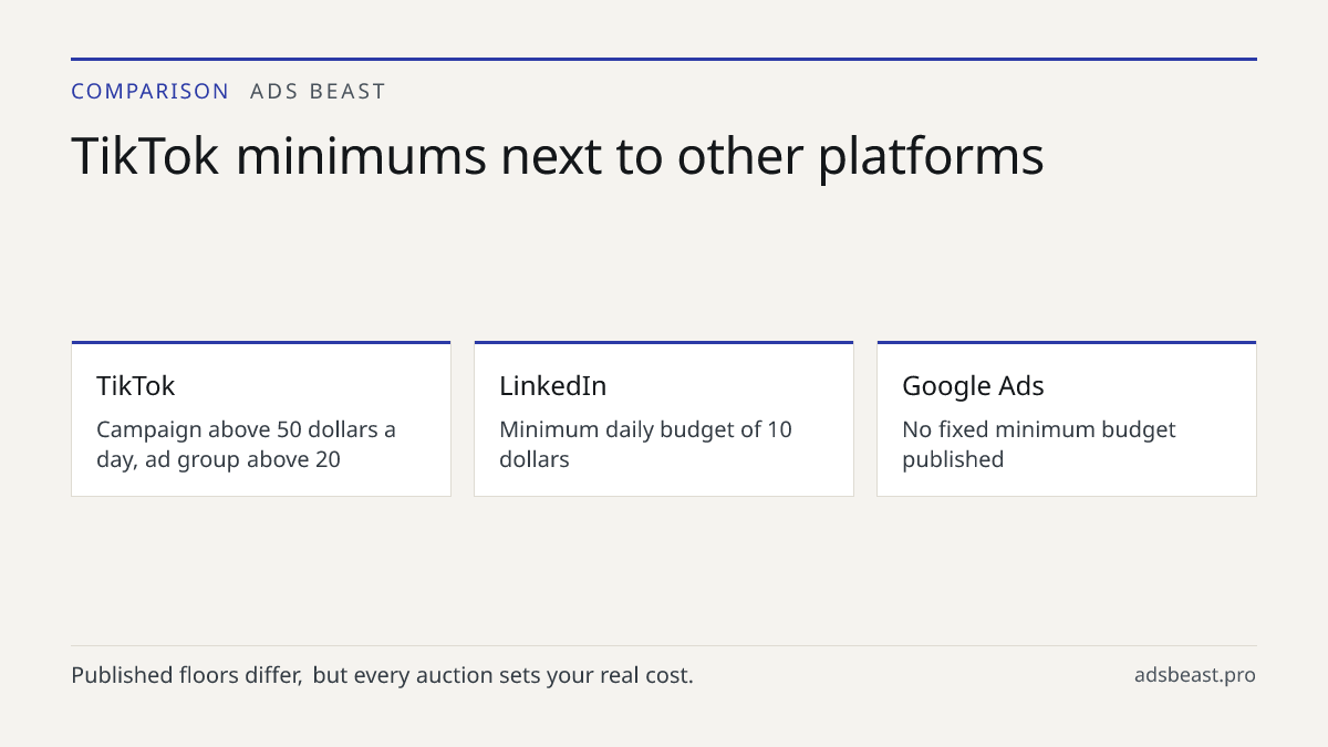 TikTok minimums next to other platforms. TikTok: Campaign above 50 dollars a day, ad group above 20; LinkedIn: Minimum daily budget of 10 dollars; Google Ads: No fixed minimum budget published