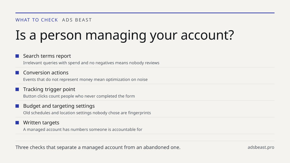 Is a person managing your account?. Search terms report: Irrelevant queries with spend and no negatives means nobody reviews; Conversion actions: Events that do not represent money mean optimization on noise; Tracking trigger point: Button clicks count people who never completed the form; Budget and